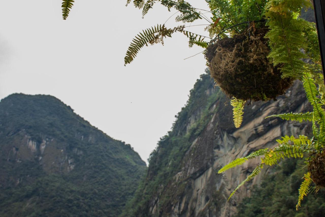 Runas Inn Machupicchu Экстерьер фото