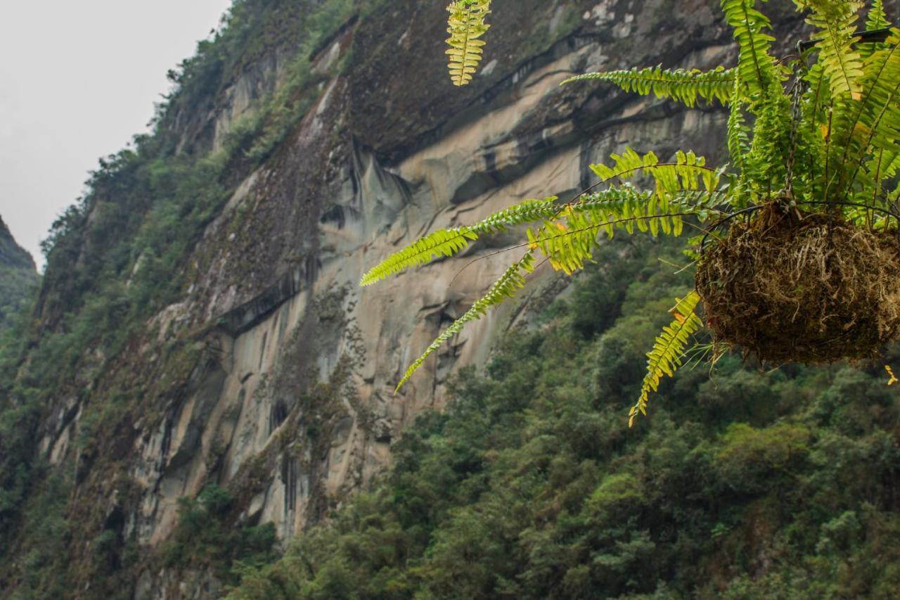 Runas Inn Machupicchu Экстерьер фото